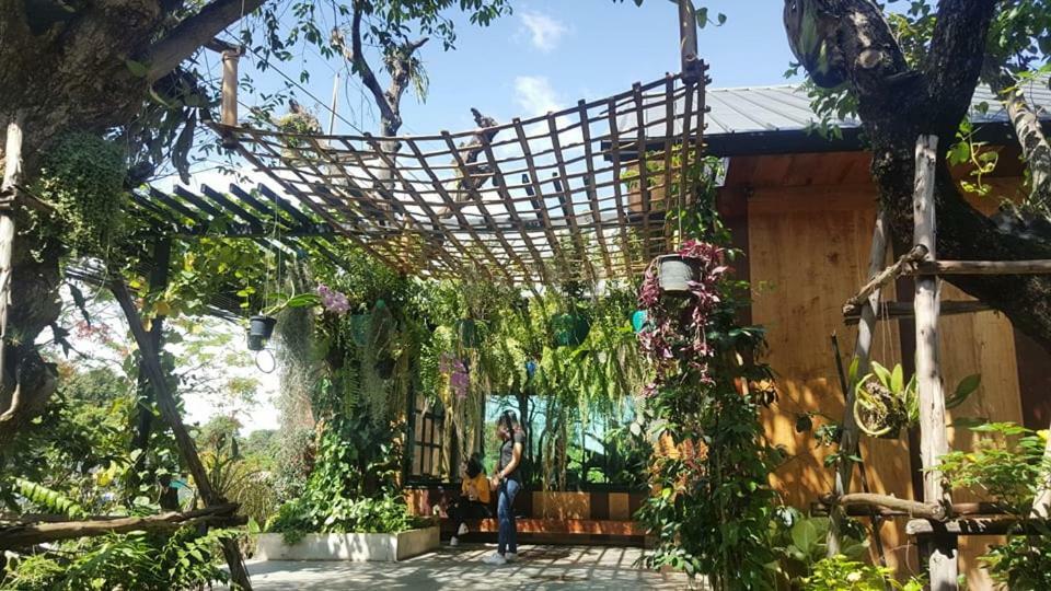 Yayo Coffee And Bed Chiang Rai Exterior photo